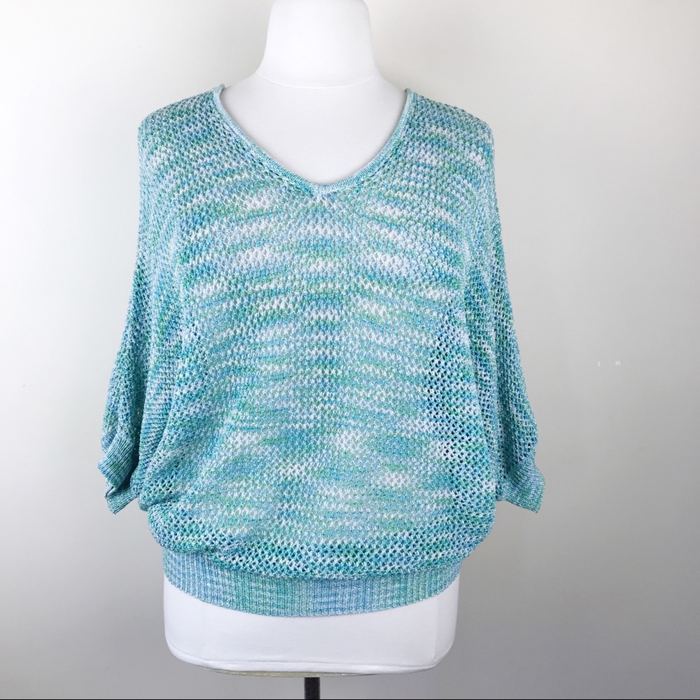 Lane Bryant Pullover Glitter Sweater Batwing 22/24